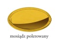 Kolor- złoto połysk