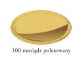 Kolor 100- złoto połysk