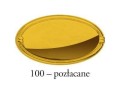 Kolor 100- złoto połysk