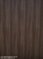 S-185-QUERCIA.jpg