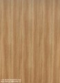 S-203-QUERCIA.jpg