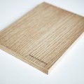 S206-quercia.jpg