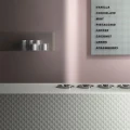 Cleaf-CHEOPE.jpg